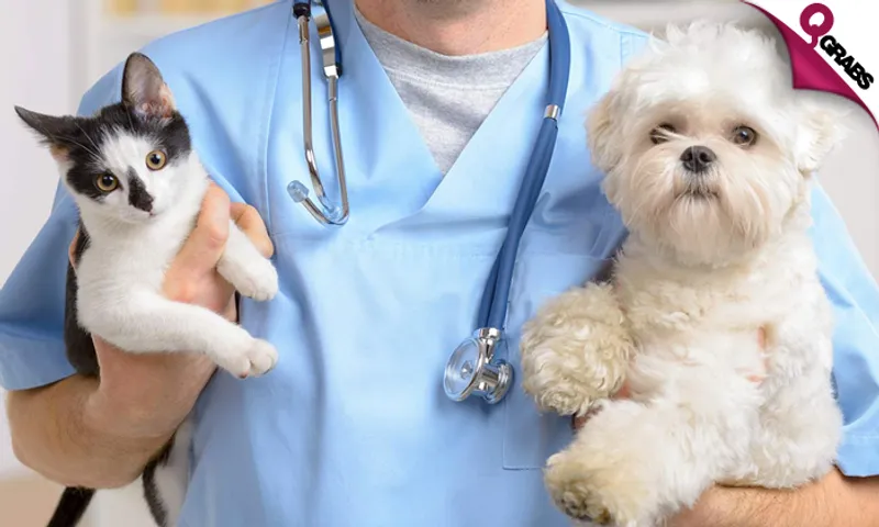 Vaccination & General Check up for Pets!